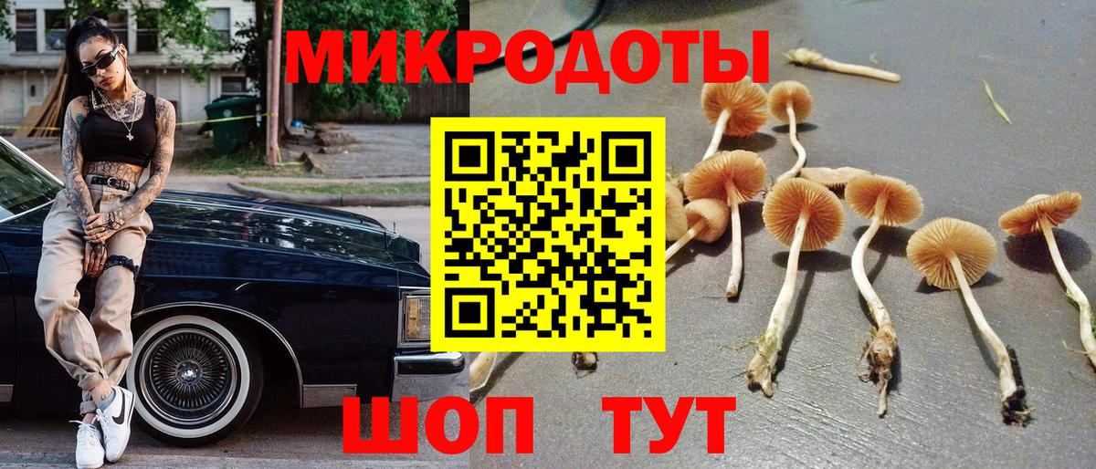 Боровичи  как найти наркотики  Псилоцибиновые грибы мицелий  Вход с VPN  Галлюциногенные грибы мухоморы 